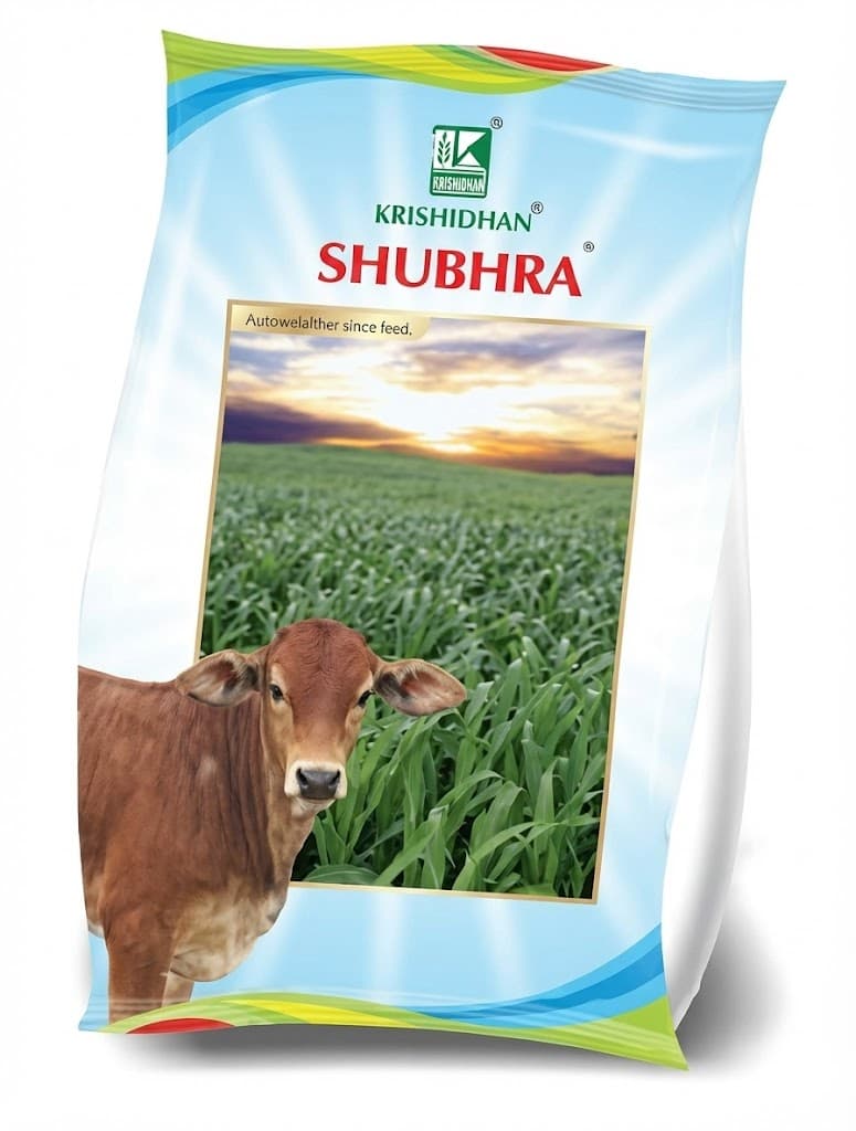 KDSFH 712 HY.FODDER SORGHUM SHUBHRA