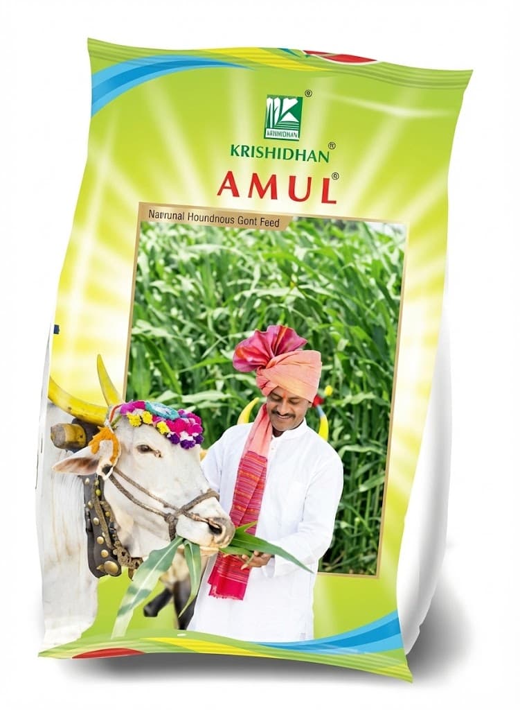 KDSFH 727 HY.FODDER SORGHUM AMUL